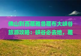 佛山到西藏雅鲁藏布大峡谷必去地