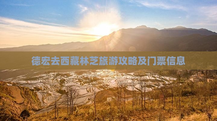 德宏去西藏林芝门票