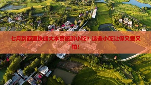 七月到西藏珠峰大本营旅游小吃
