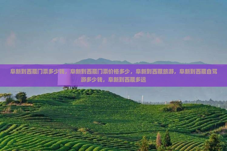 阜新到西藏门票