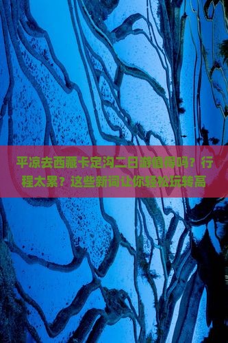 平凉去西藏卡定沟二日游