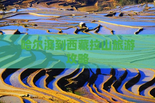 哈尔滨到西藏色季拉山个人游