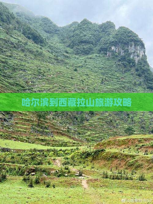 哈尔滨到西藏色季拉山个人游