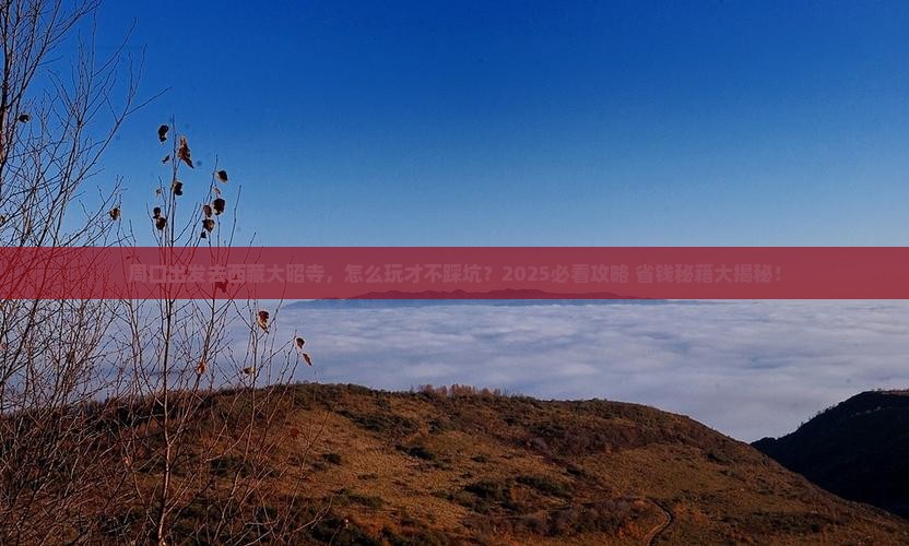 周口去西藏大昭寺哪里玩