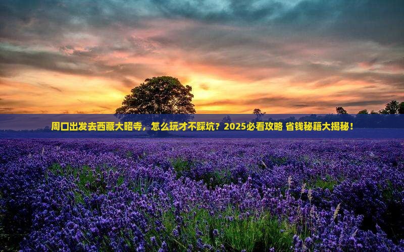 周口去西藏大昭寺哪里玩