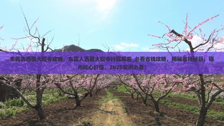 东莞去西藏大昭寺攻略