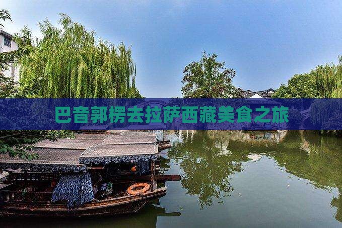 巴音郭楞去西藏拉萨旅游小吃