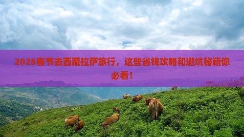 春节去西藏拉萨旅行社