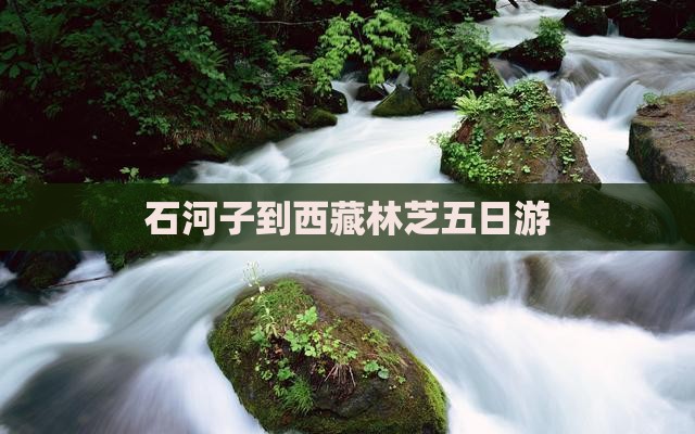 石河子到西藏林芝五日游