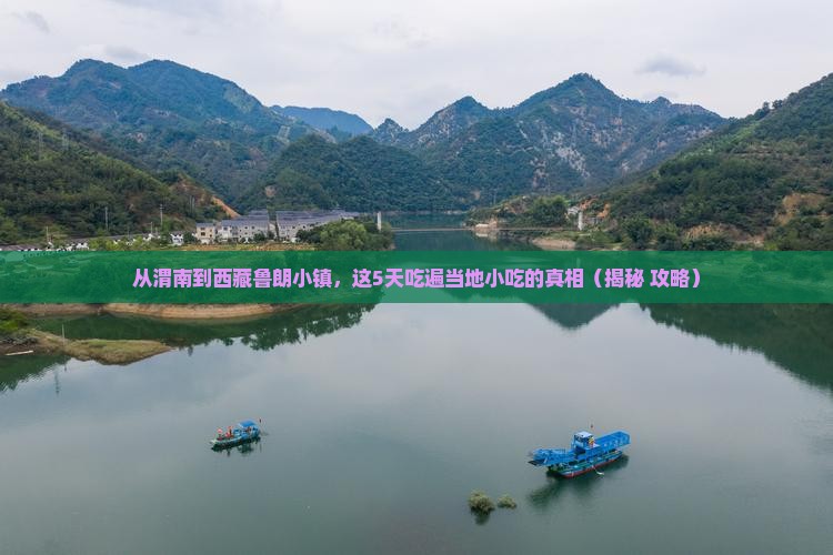 渭南去西藏鲁朗小镇旅游小吃