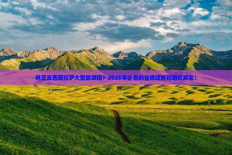 林芝去西藏拉萨大型旅游团
