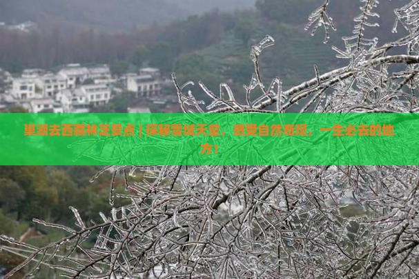 巢湖去西藏林芝景点