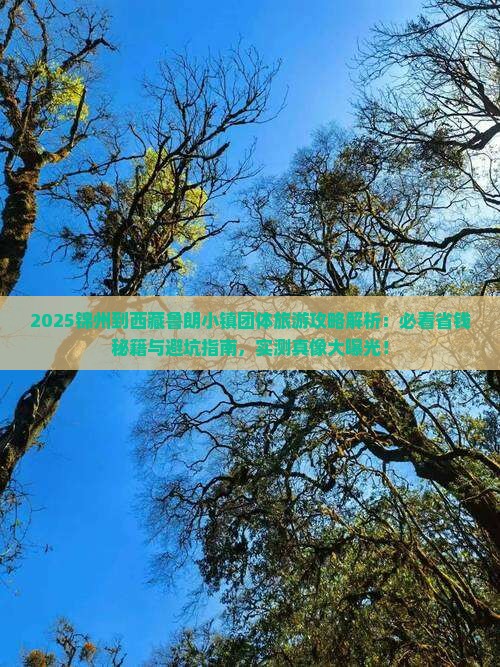 锦州到西藏鲁朗小镇团体旅游