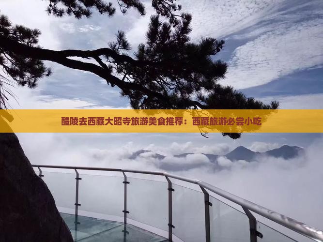 醴陵去西藏大昭寺旅游小吃