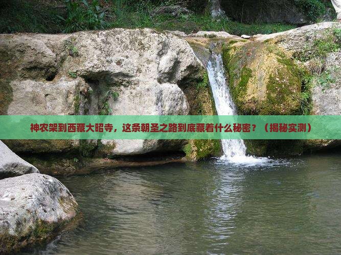 神农架到西藏大昭寺旅行社