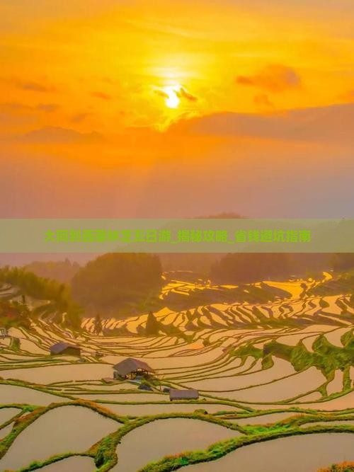 大同到西藏林芝五日游