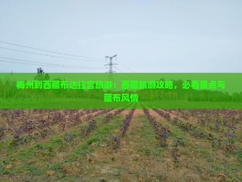 梅州到西藏布达拉宫旅游