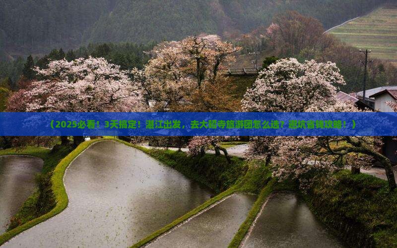 湛江到西藏大昭寺大型旅游团