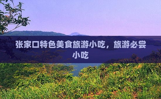 张家口去西藏旅游小吃