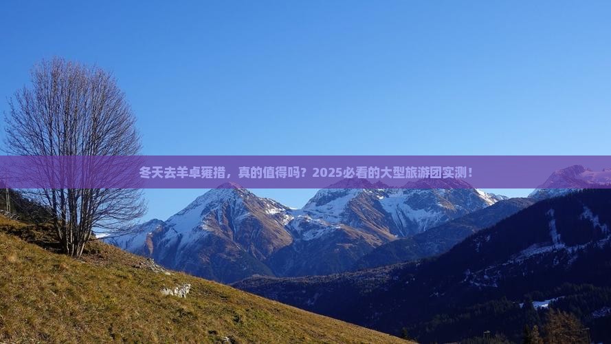 冬天到西藏羊卓雍措大型旅游团