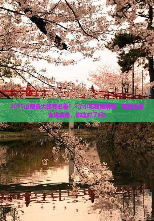 山南去西藏大昭寺旅游小吃