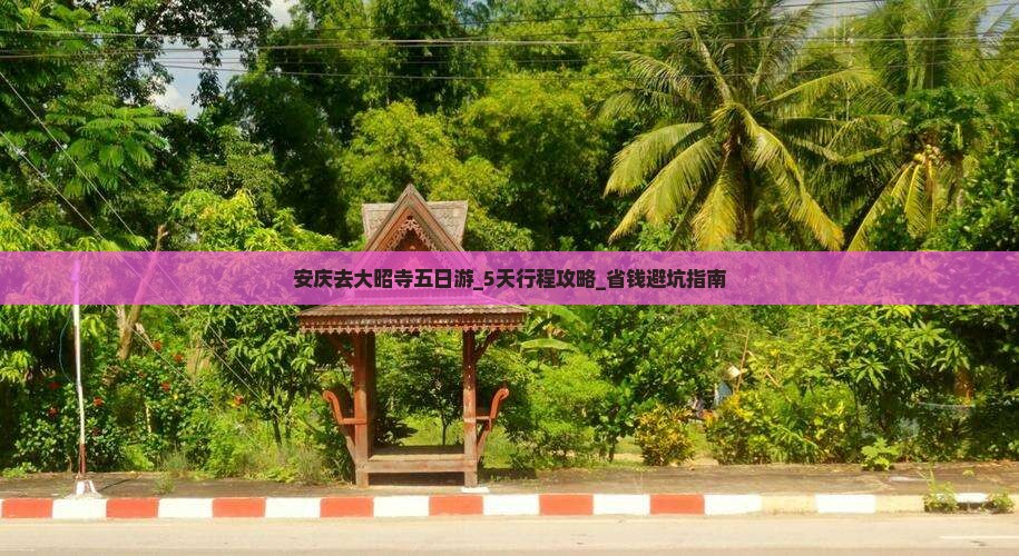 安庆去西藏大昭寺五日游