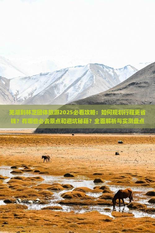 芜湖到西藏林芝团体旅游