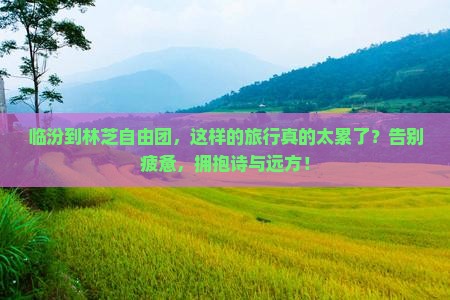 临汾到西藏林芝自由团