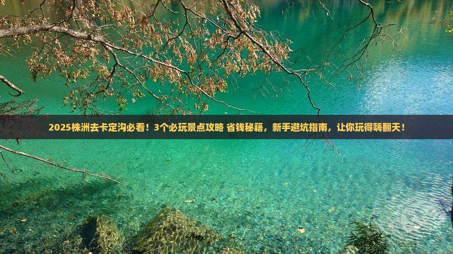 株洲去西藏卡定沟哪里玩