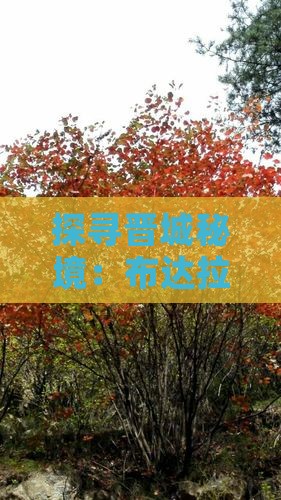 探寻晋城秘境：布达拉宫朝圣之旅