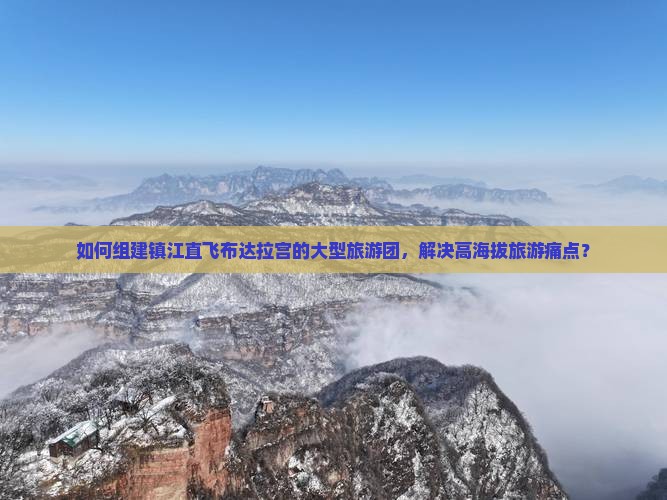 如何组建镇江直飞布达拉宫的大型旅游团，解决高海拔旅游痛点？