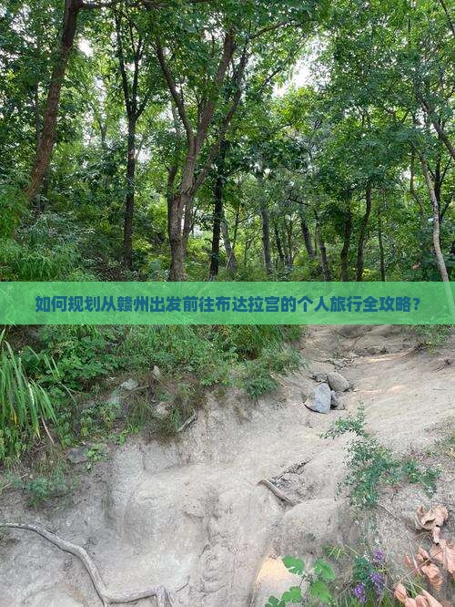 如何规划从赣州出发前往布达拉宫的个人旅行全攻略？
