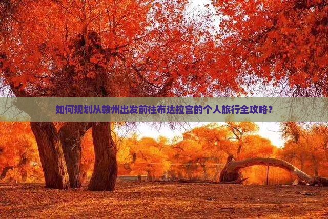 如何规划从赣州出发前往布达拉宫的个人旅行全攻略？