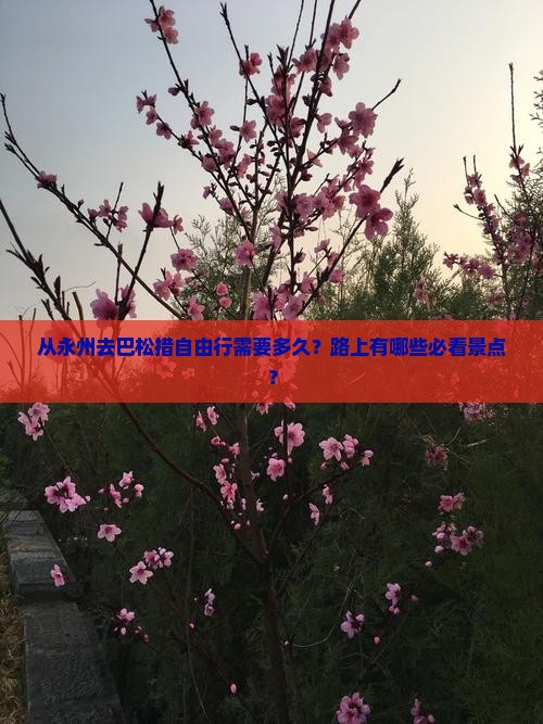 从永州去巴松措自由行需要多久？路上有哪些必看景点？