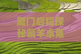 厦门启程探秘藏羊卓雍措个人之旅
