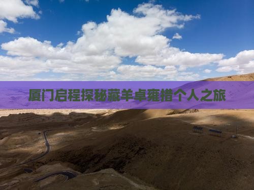 厦门启程探秘藏羊卓雍措个人之旅