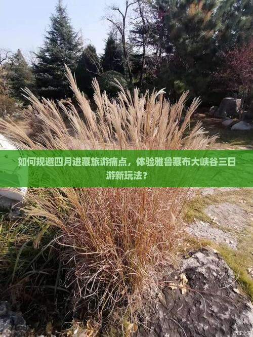 如何规避四月进藏旅游痛点，体验雅鲁藏布大峡谷三日游新玩法？