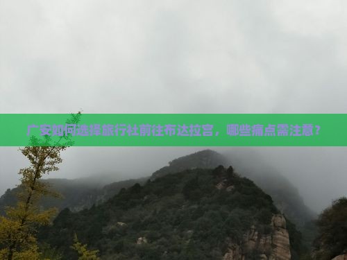广安如何选择旅行社前往布达拉宫，哪些痛点需注意？