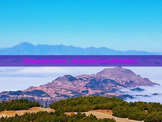 清远出发至纳木措旅游，如何挑选地道小吃以满足味蕾需求？
