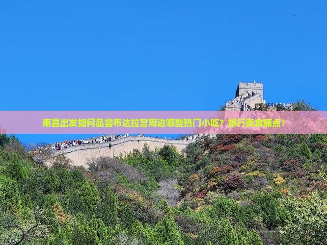 南昌出发如何品尝布达拉宫周边哪些热门小吃？旅行美食痛点！
