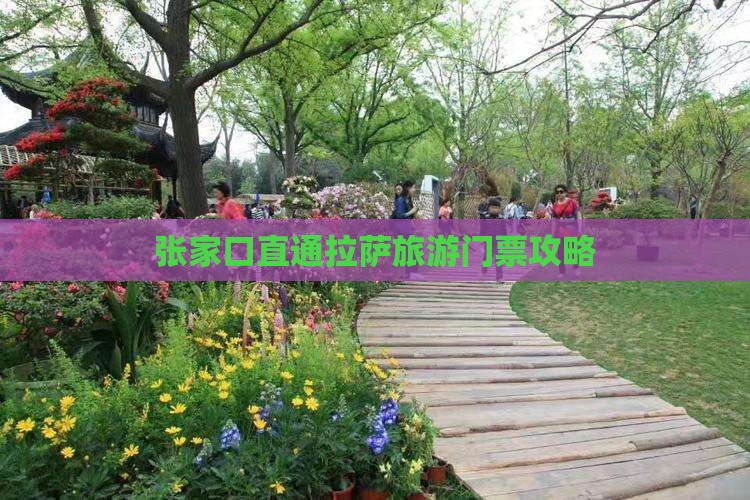 张家口直通拉萨旅游门票攻略