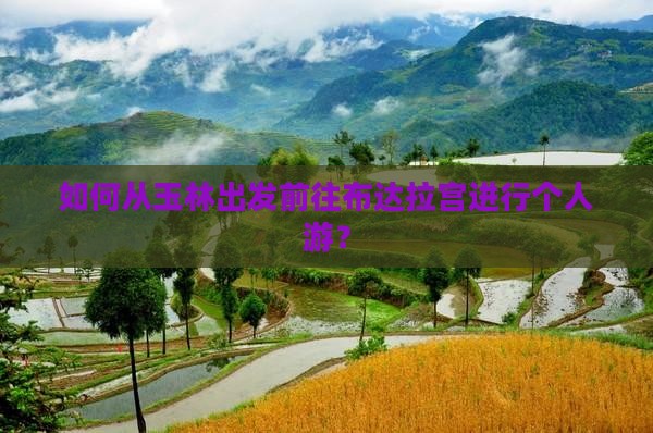 如何从玉林出发前往布达拉宫进行个人游？