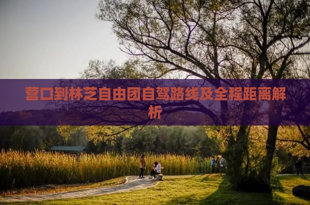 营口到林芝自由团自驾路线及全程距离解析