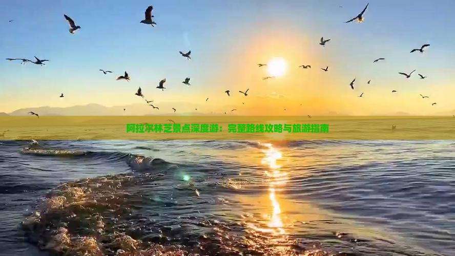 阿拉尔林芝景点深度游：完整路线攻略与旅游指南