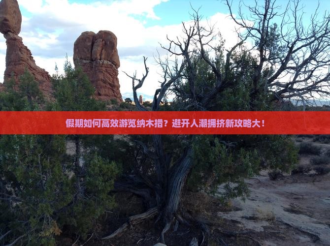 假期如何高效游览纳木措？避开人潮拥挤新攻略大！