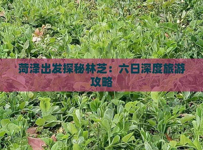 菏泽出发探秘林芝：六日深度旅游攻略