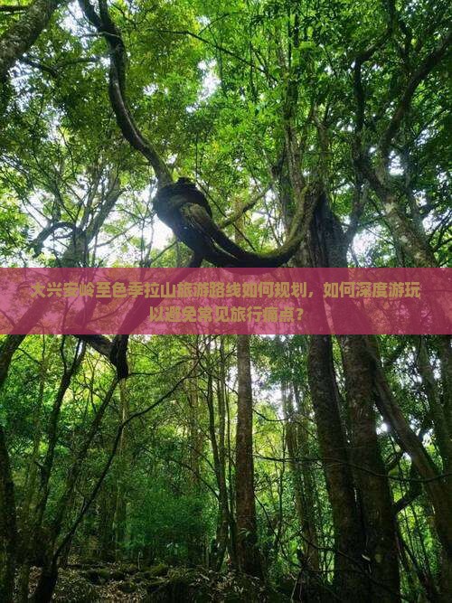 大兴安岭至色季拉山旅游路线如何规划，如何深度游玩以避免常见旅行痛点？