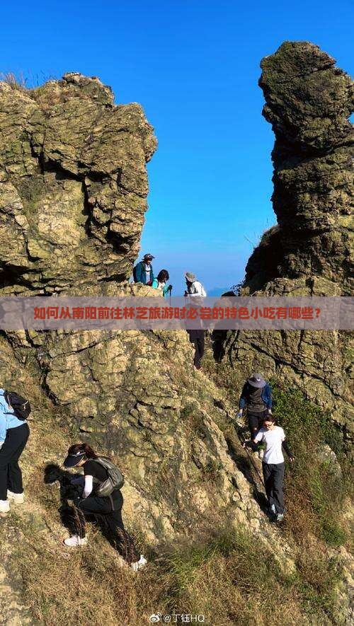 如何从南阳前往林芝旅游时必尝的特色小吃有哪些？