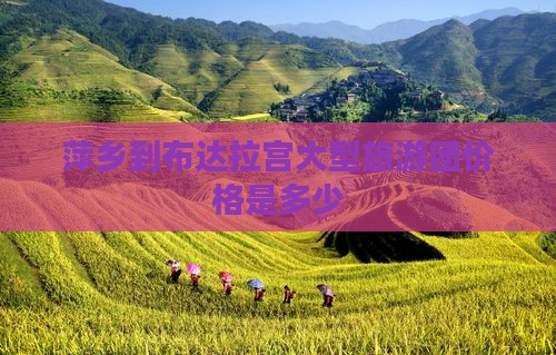 萍乡到布达拉宫大型旅游团价格是多少