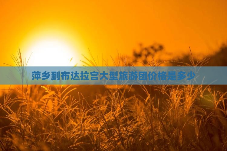 萍乡到布达拉宫大型旅游团价格是多少